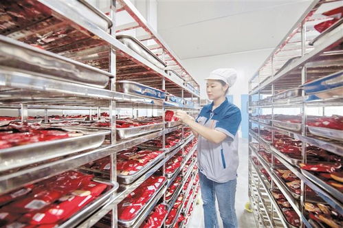 道真 做強做優產業鏈，賦能附著式升降腳手架高質量發展