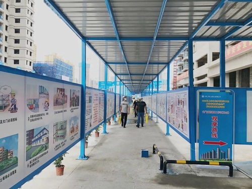 高顏值，高標(biāo)準(zhǔn)——公司武廣新城項目成功承辦長沙市附著式升降腳手架觀摩會